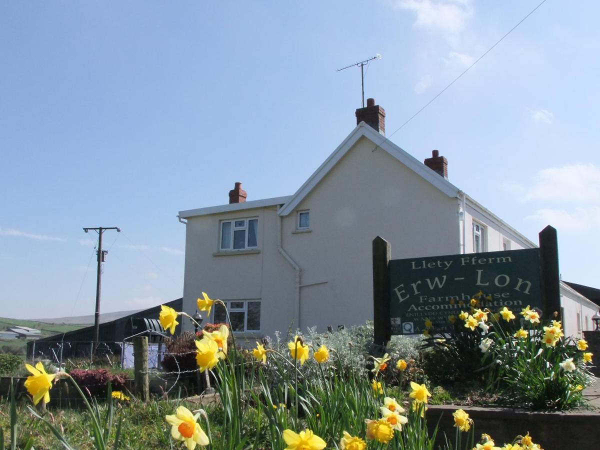 ポントファーン Erw-Lon Farm Bed & Breakfast エクステリア 写真