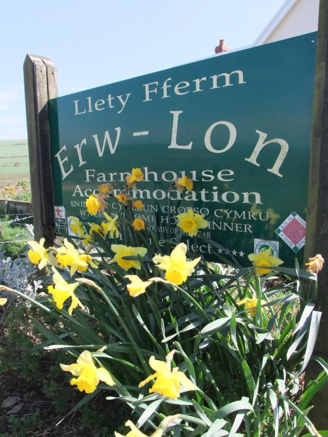 ポントファーン Erw-Lon Farm Bed & Breakfast エクステリア 写真